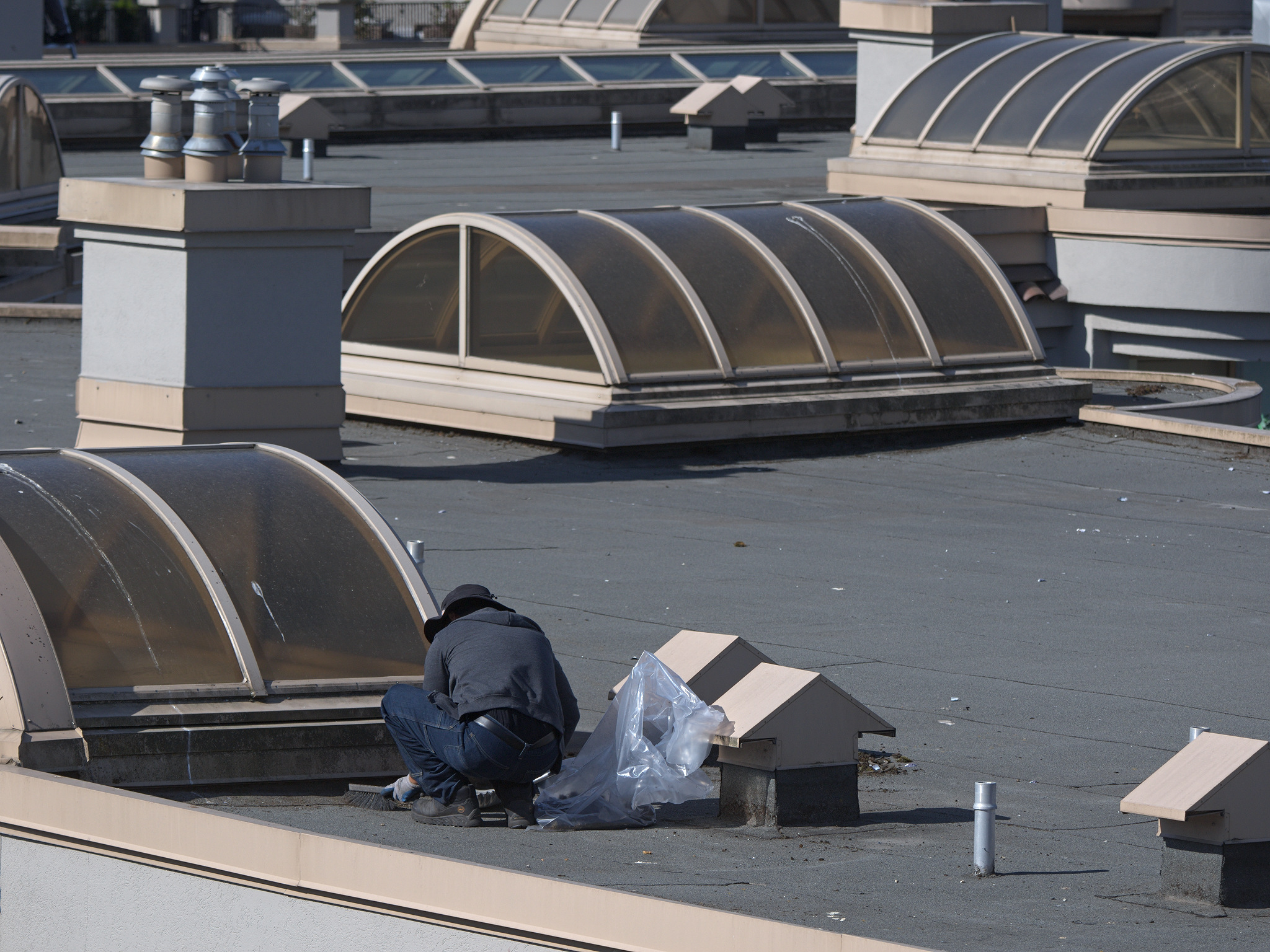 Worker on Cambie nest roof