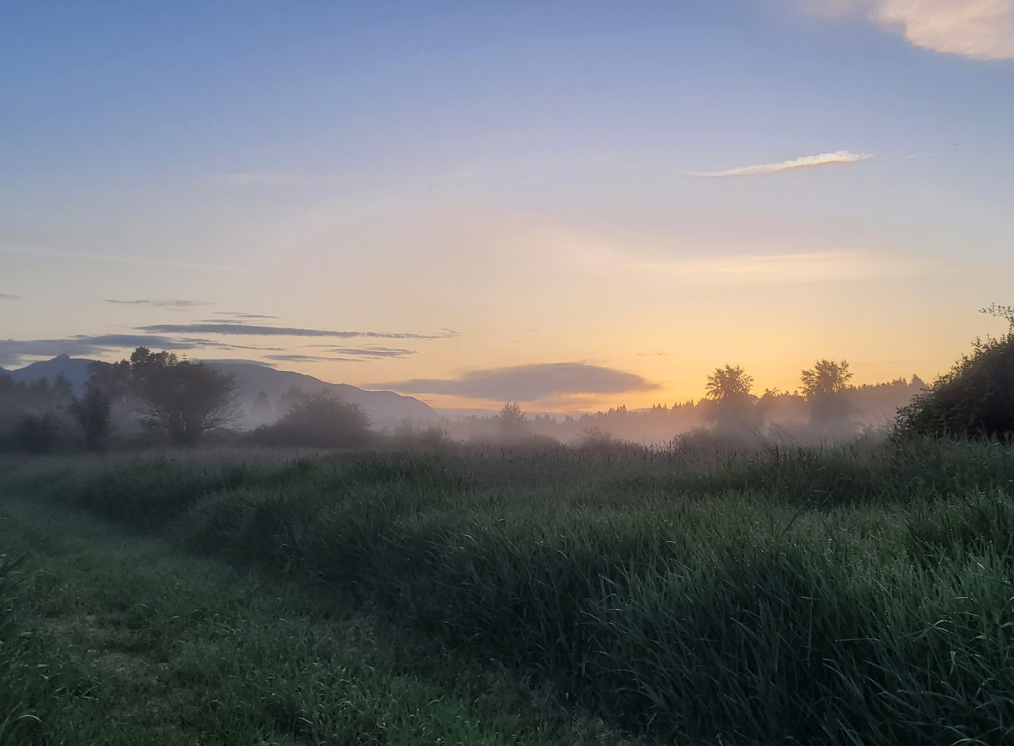 Dawn at ƛ̓éxətəm Regional Park
