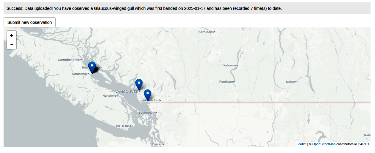 Banded Gull sighting map