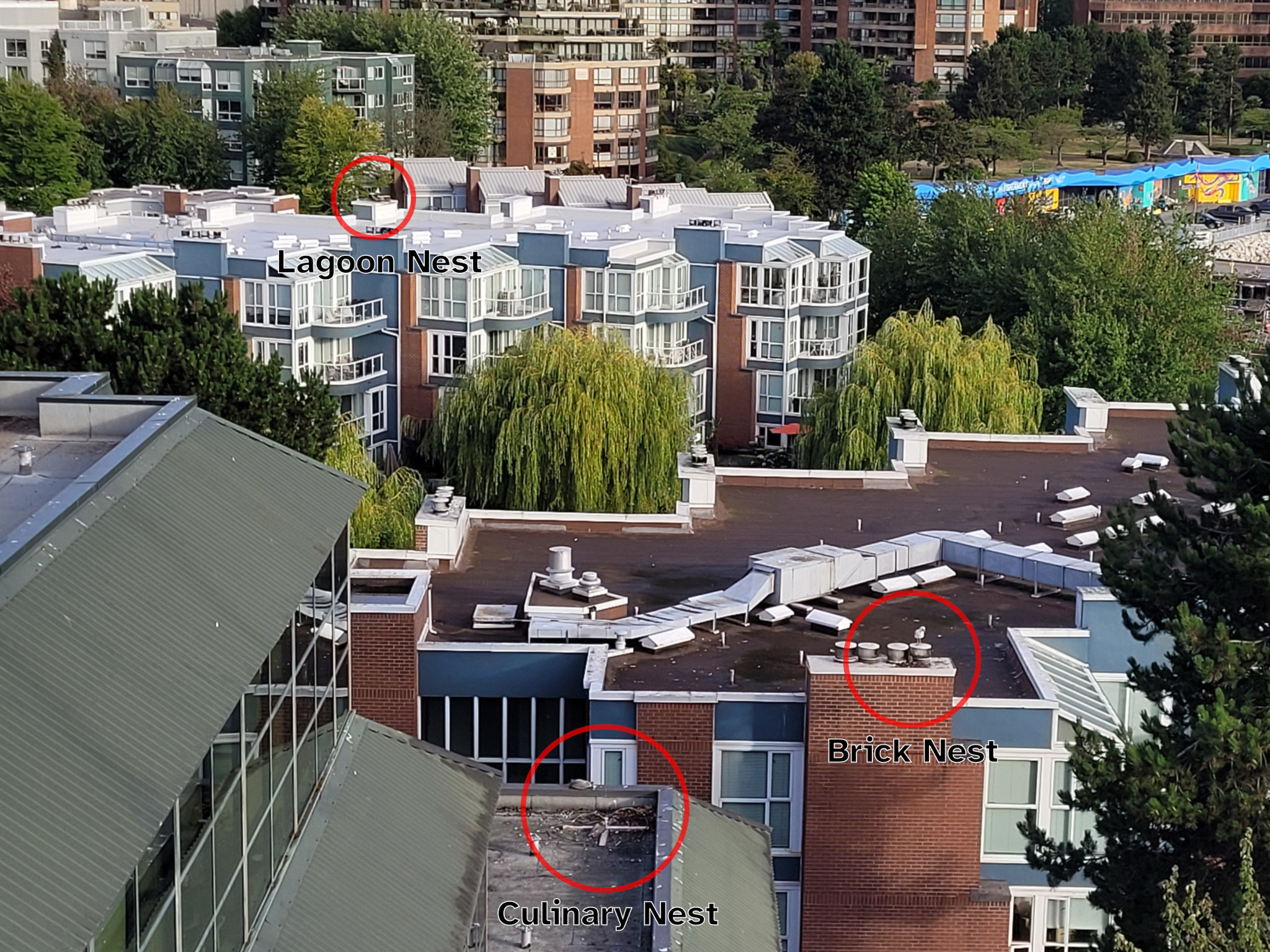 Nest Locations