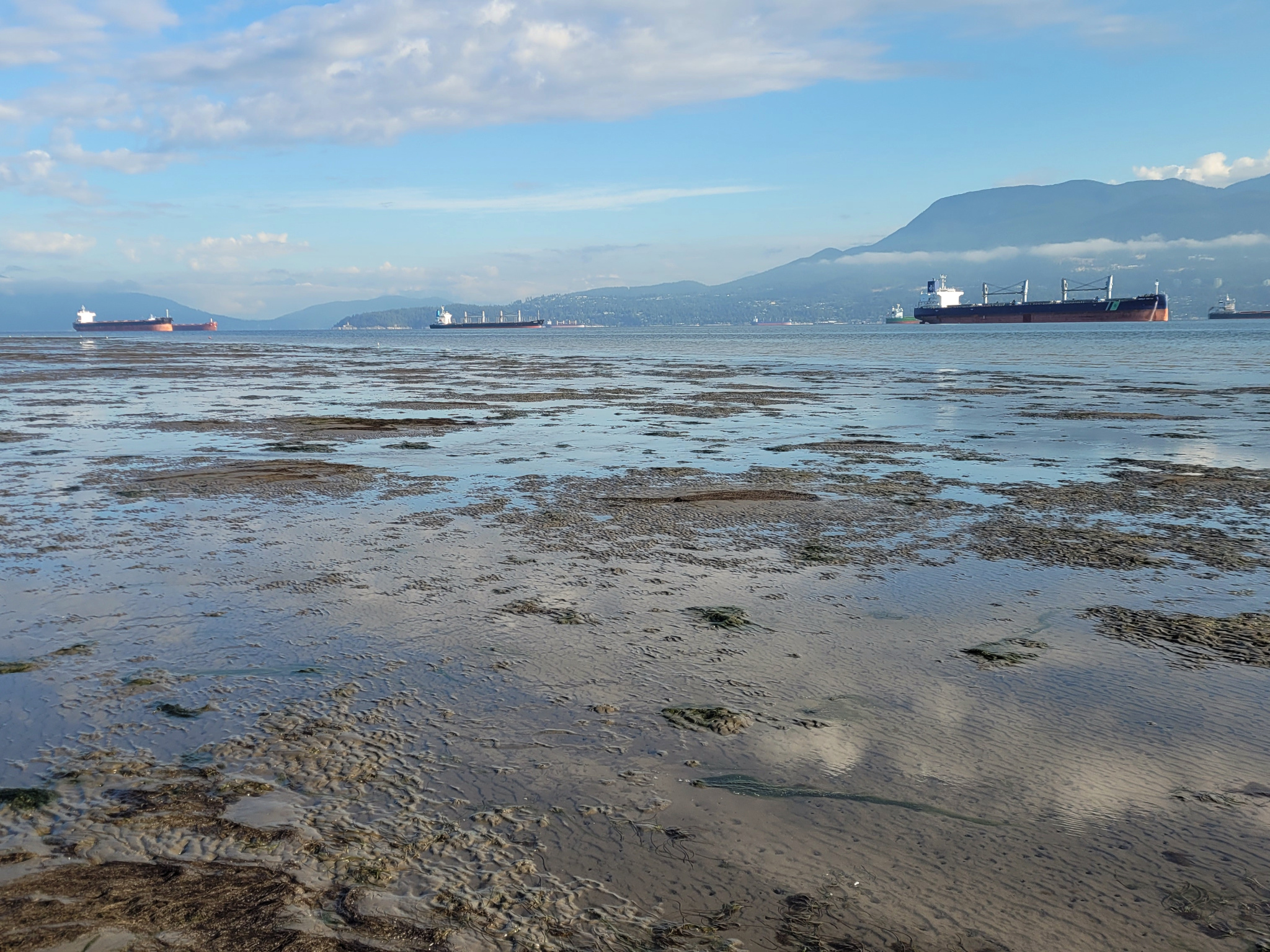 Tidal Flats