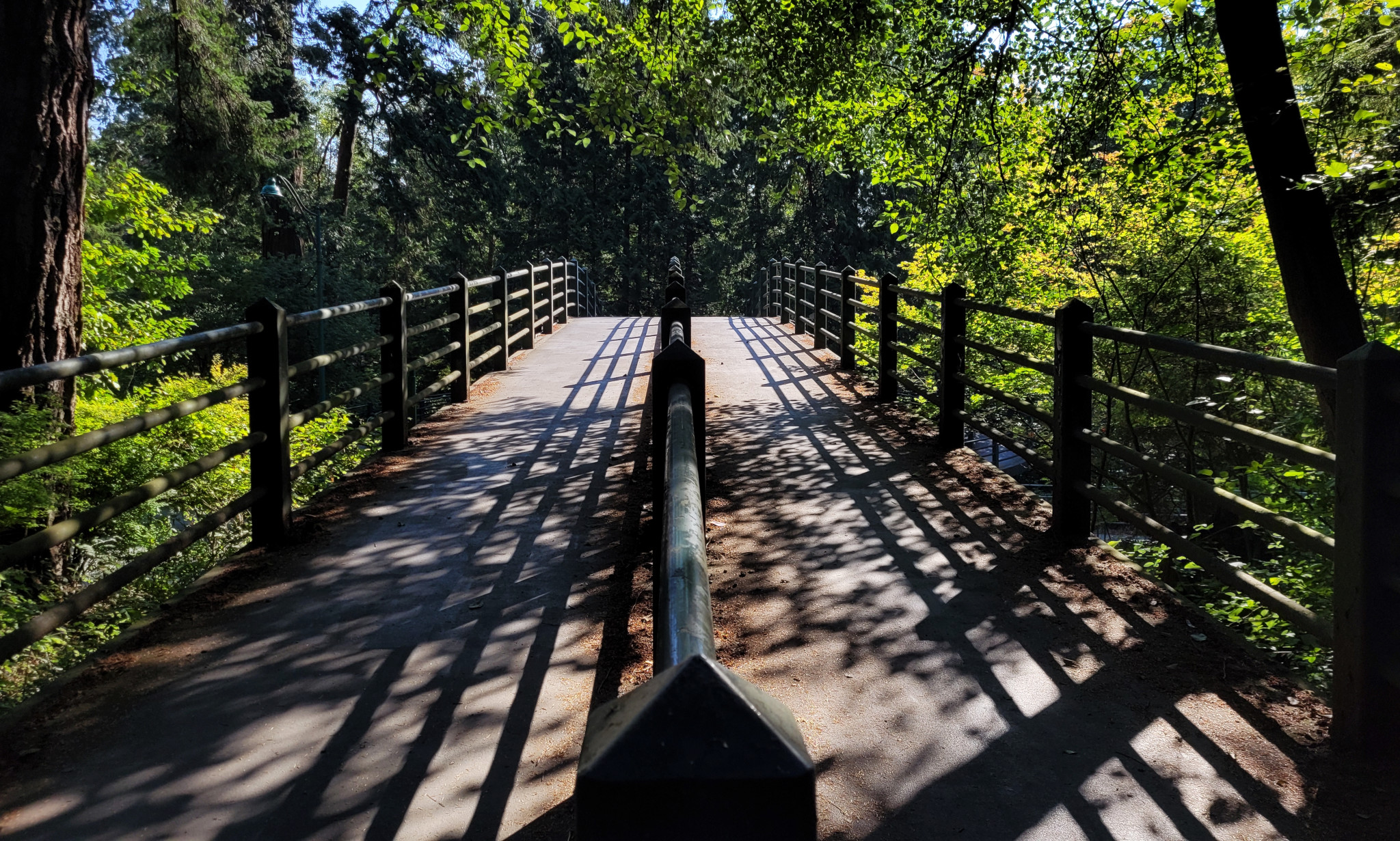 Pedestrian/Equestrian Bridge